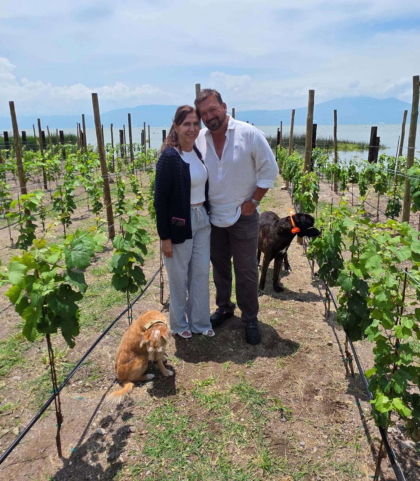 Sustentabilidad Cava Nimue